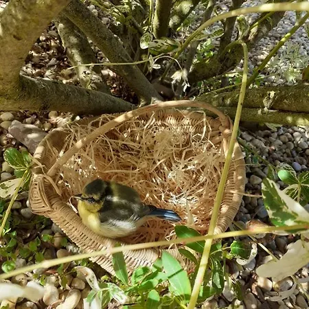 Ubytování v soukromí Chez Habitant Avec Petit Dejeuner Bouloire