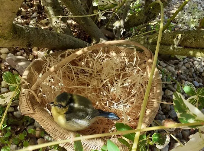 Rum i privatbostad Chez Habitant Avec Petit Dejeuner Bouloire